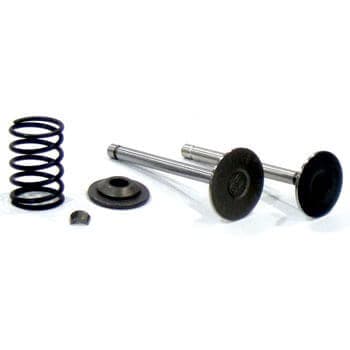 E-Z-GO Gas 4-Cycle Upgraded Valve Kit (Years 1991-Up)