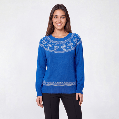 Petite Retrology Long Sleeve Hannukah Fair Isle Sweater
