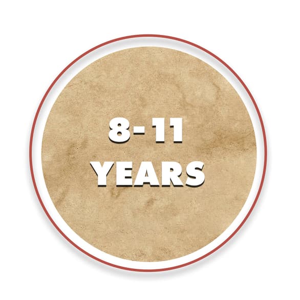 Shop All Toys 8-11 Years