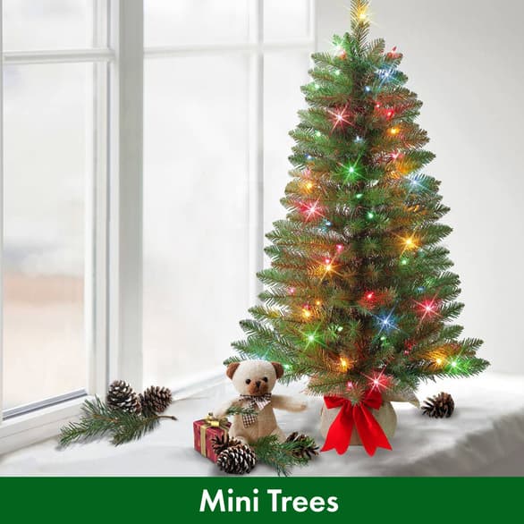 Shop Mini Trees