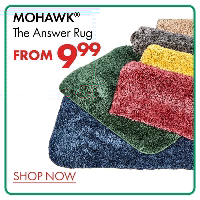 Mohawk The Answer Rug