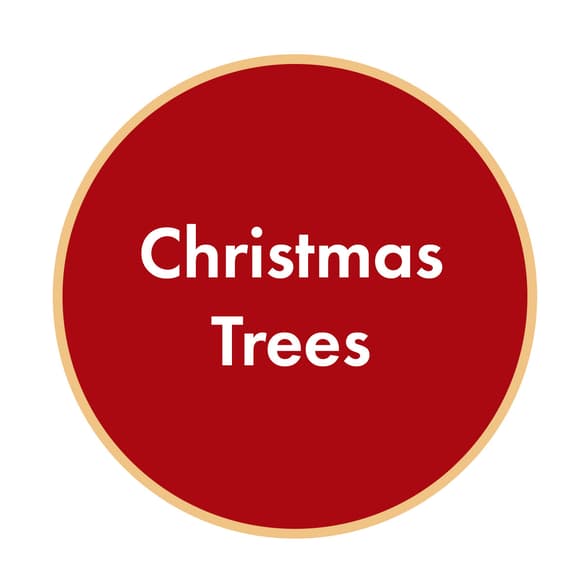 Shop Christmas Trees 