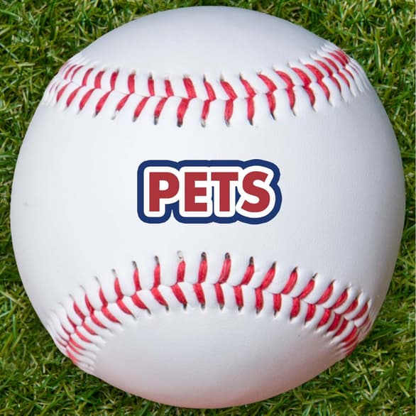 Shop Pets Philadelphia Phillies Gear Here