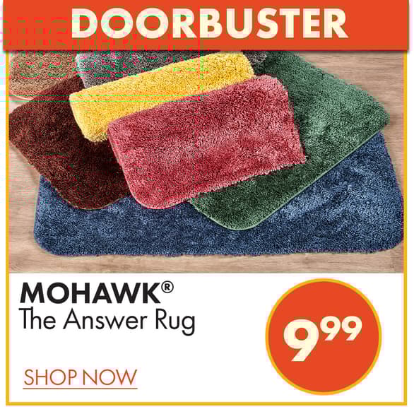 Mohawk The Answer Rug