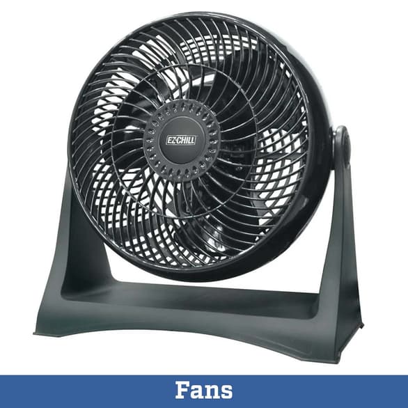 Fans