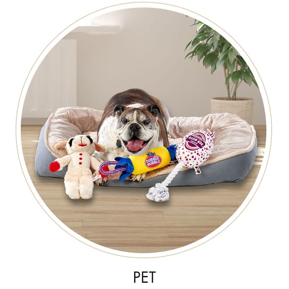 Pet