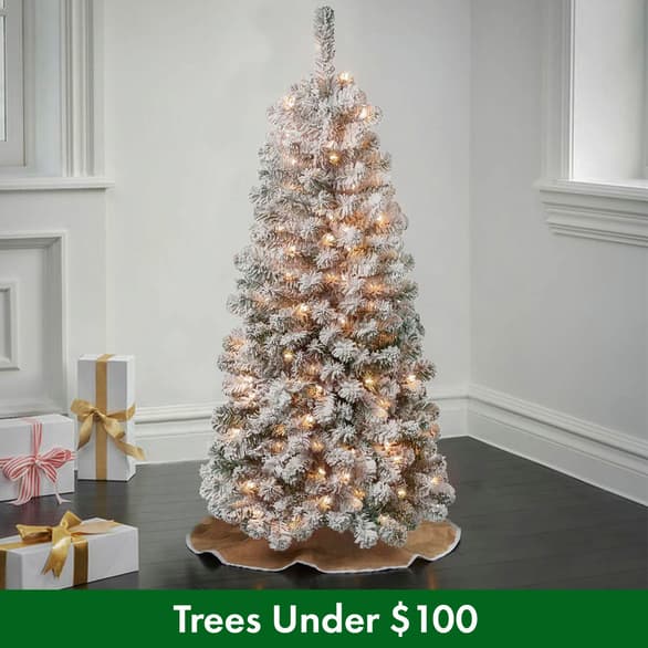 Shop Trees Under $100
