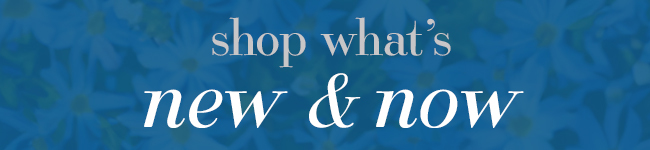 Shop What's New & Now