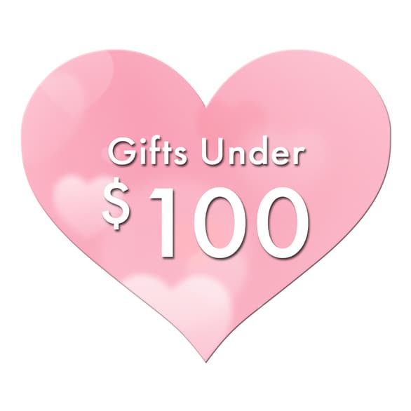 Gifts Under $100