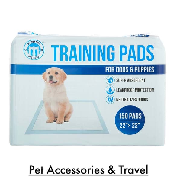 Pet Accessories and Travel