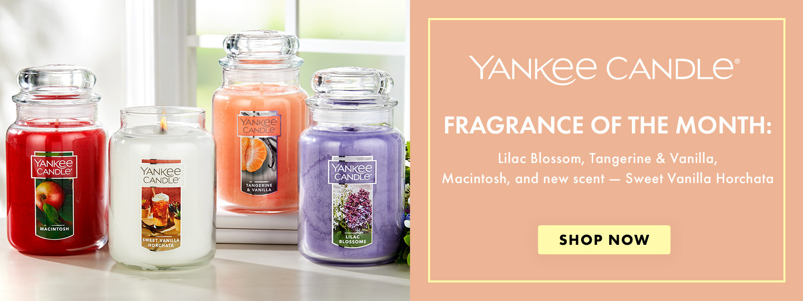 Shop Yankee Candle of the Month