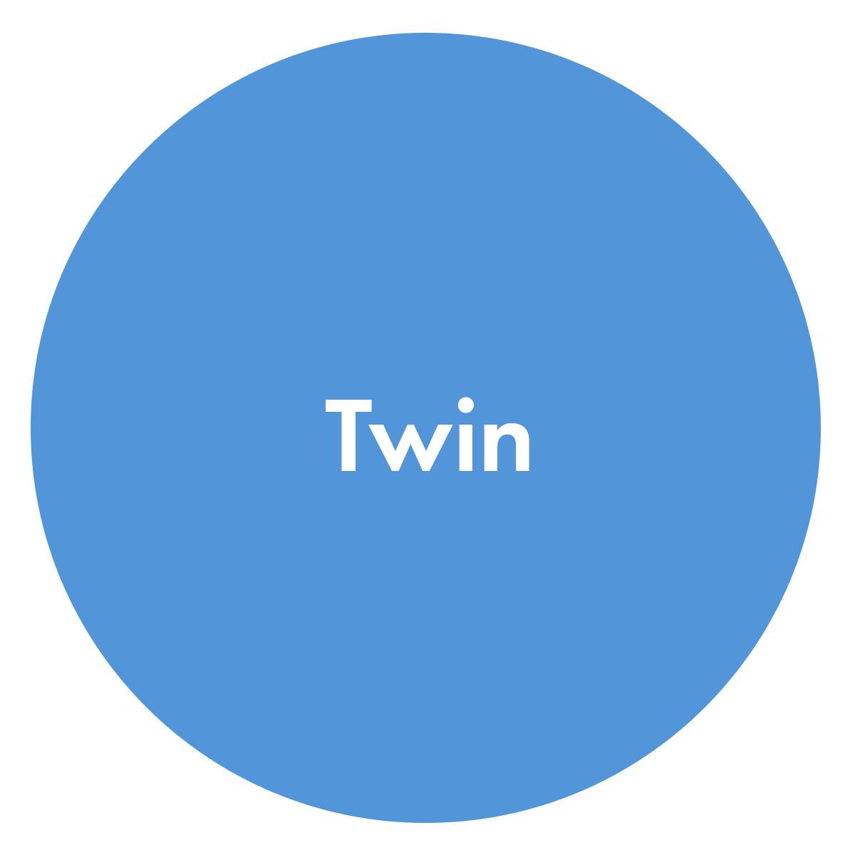 twin