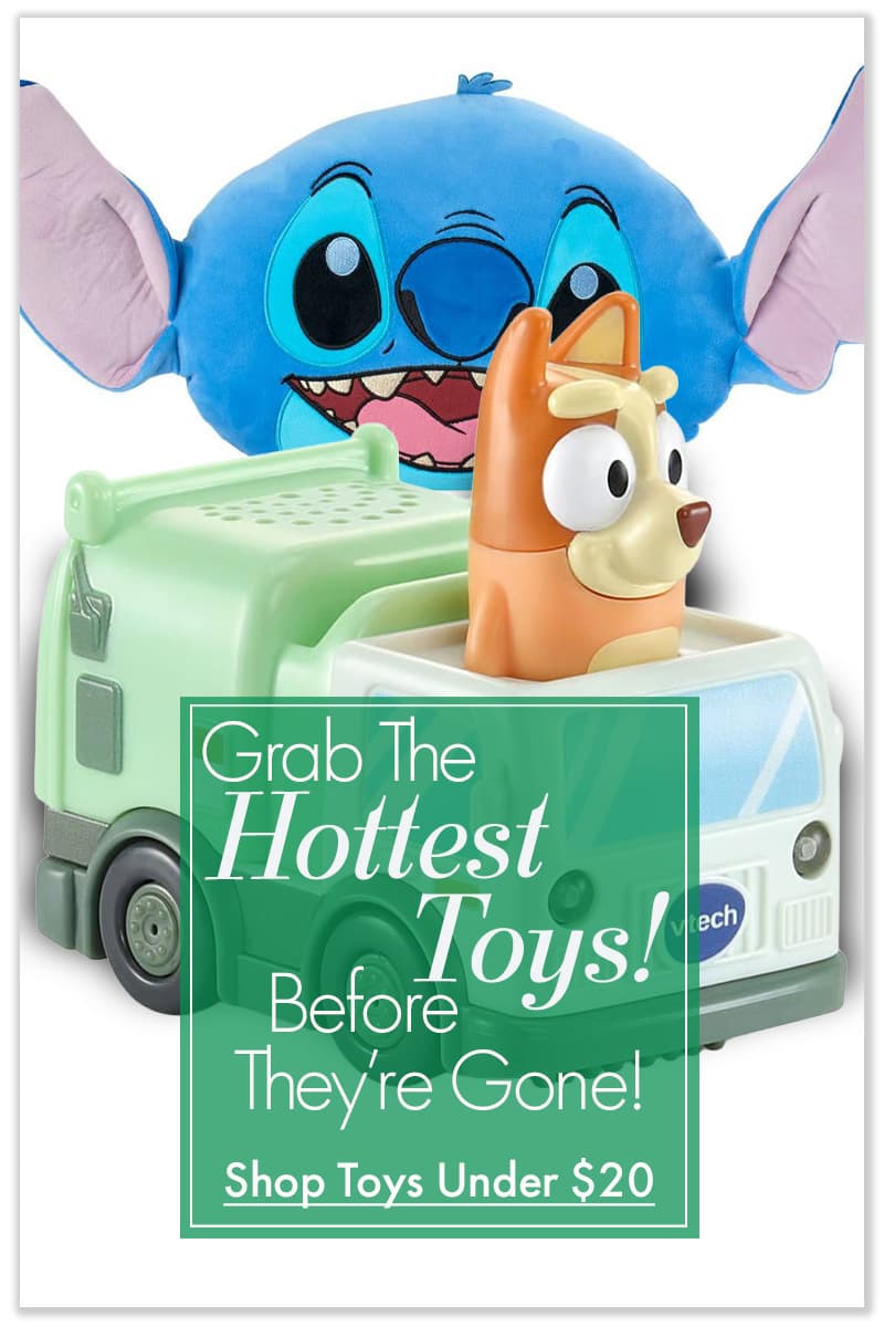 Grab the Hottest Toys Before They’re Gone—Under $20