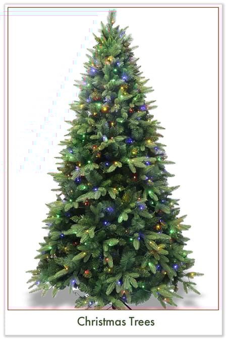 Christmas Trees