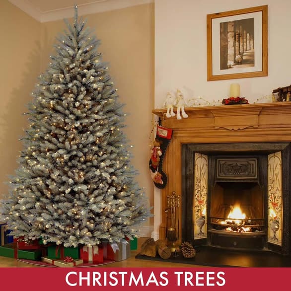 Shop Christmas Trees 