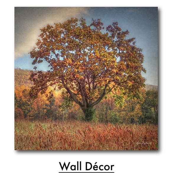 Wall Decor 