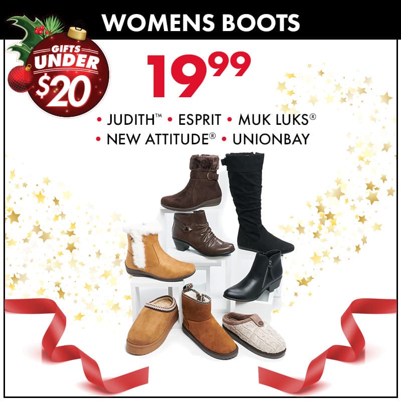 $19.99 Womens Boots