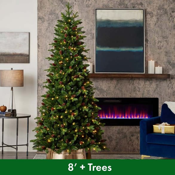 Shop 8 foot and up trees