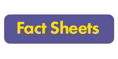 Fact Sheet