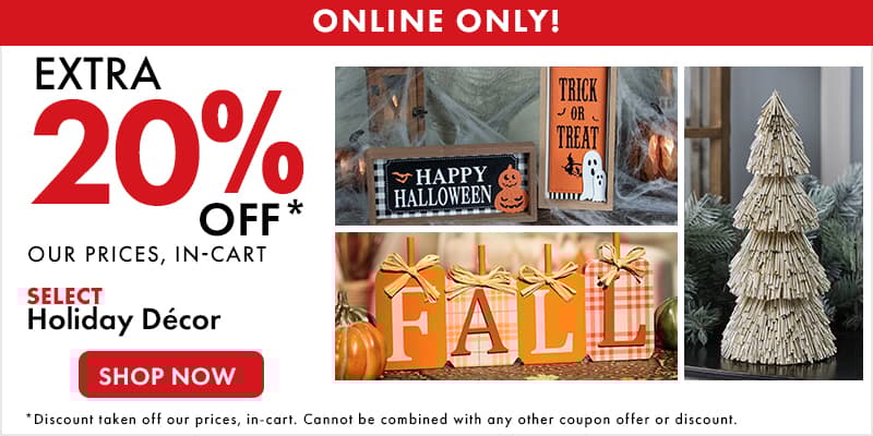 Extra 20% off Select Online Only Decor 
