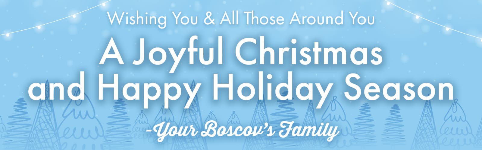 Happy Holidays & Merry Christmas!