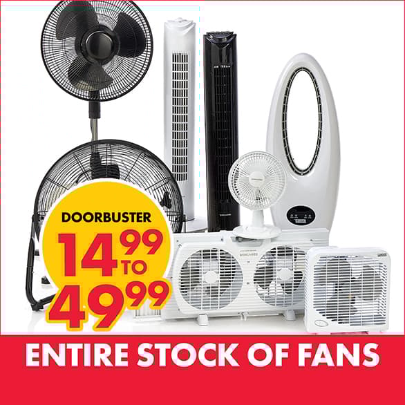 Fans