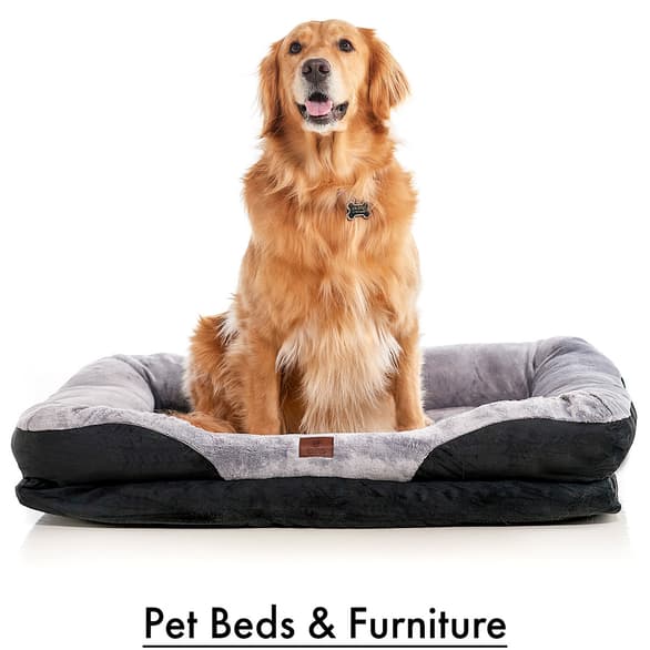 Pet Beds & Furniture