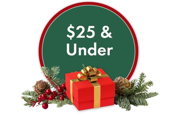 Gifts Under $25