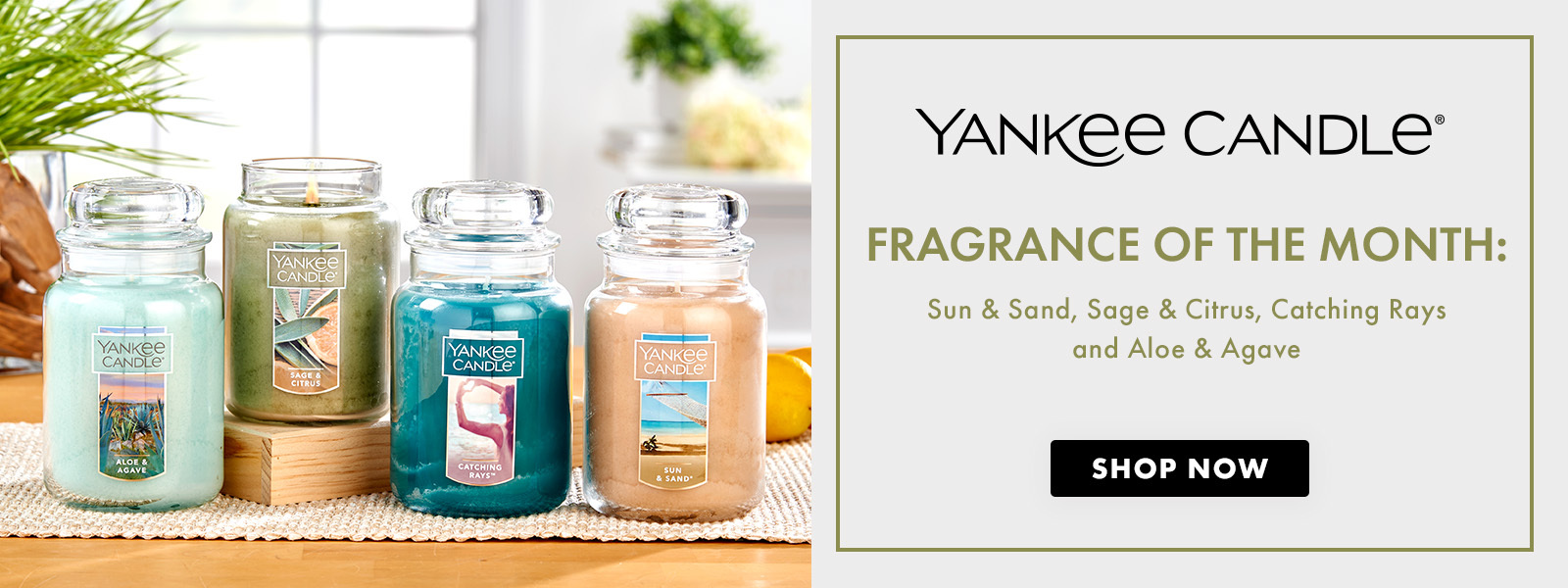 Shop Yankee Candle of the Month