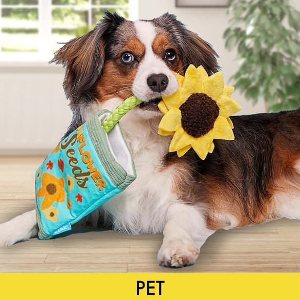 Shop Pet