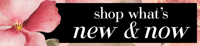 Shop What's New & Now