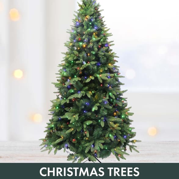 Shop Christmas Trees