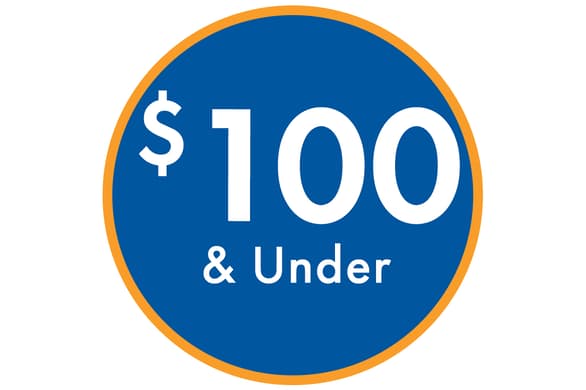 $100 & Under