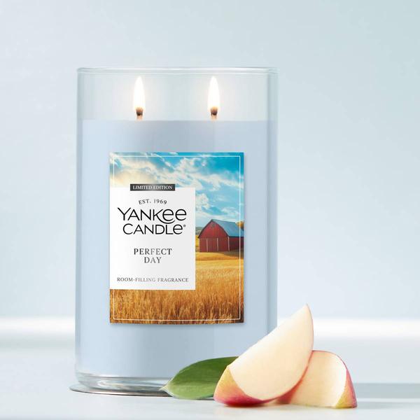 Yankee Candle(R) Perfect Day 2 Wick Tumbler Candle - image 