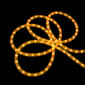 Northlight Seasonal 102ft. Indoor/Outdoor Rope Lights - image 3