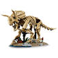 LEGO® Jurassic World Dinosaur Fossils: Triceratops - image 4
