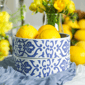Stone Lain Tropea 12pc. Stoneware Dinnerware Set - image 5