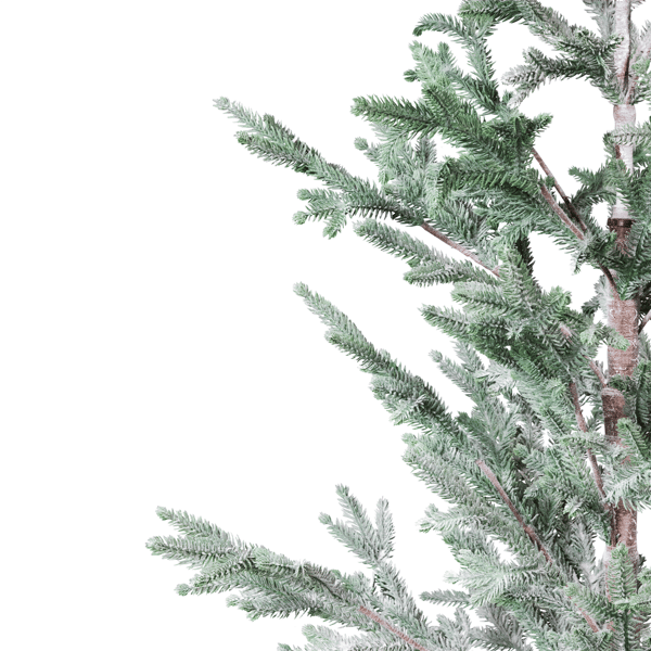 Northlight 5ft. Frosted Slim Pine Christmas Tree in Burlap Base