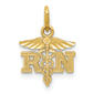 Unisex Gold Classics(tm) 14kt. Diamond Cut Polished RN Nurse Charm - image 1
