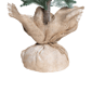 Northlight 5ft. Frosted Slim Pine Christmas Tree in Burlap Base - image 2