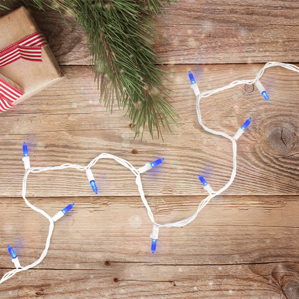 Northlight 100ct. LED Mini Christmas Lights