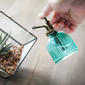 Evergreen Decorative Plant Mister - image 2