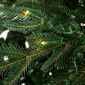Northlight Real Touch™ 6.5ft. Pre-Lit Ashburn Pine Christmas Tree - image 6