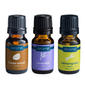Airome 3pk. Rest & Relax Oil Set - image 1
