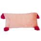 Your Lifestyle Smoothie Plush Decorative Pillow - 11x22 - image 1
