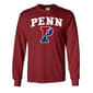 Mens University of Penn Pride Mascot Long Sleeve Tee - image 1