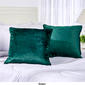 Metro Luxe 2pk. Velvet Feather-Filled Decorative Pillows - 20x20 - image 2