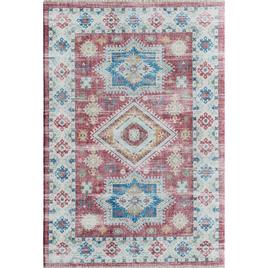 Rugs America(tm) Iggi Righteous Rosie Transitional Vintage Area Rug