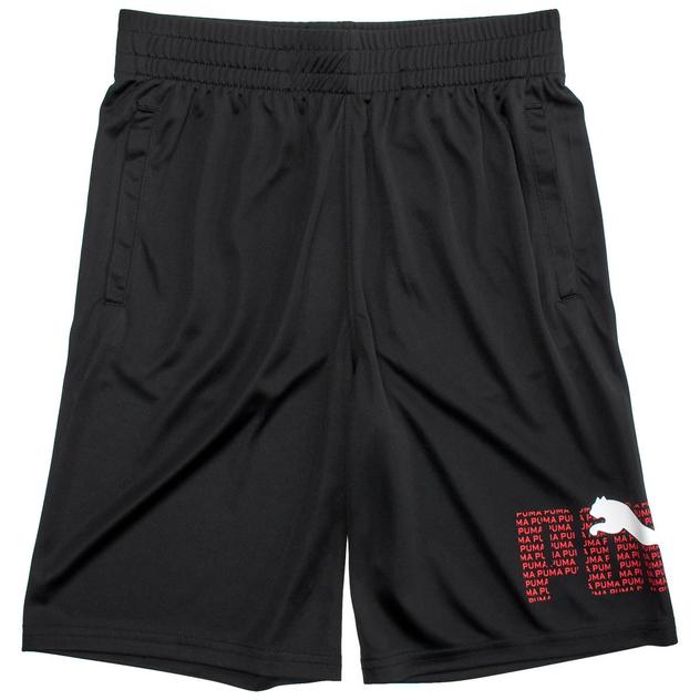 Boys (8-20) Puma® Logo Lab Shorts