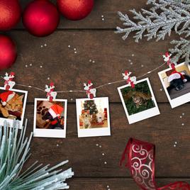 Northlight Seasonal 10ct. Mini Reindeer Christmas Fairy Lights